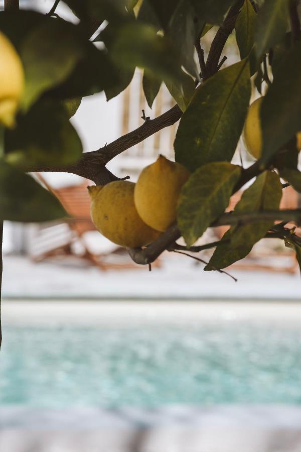 Hotel Le Sud Juan-les-Pins Kültér fotó